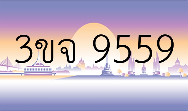 3ขจ 9559